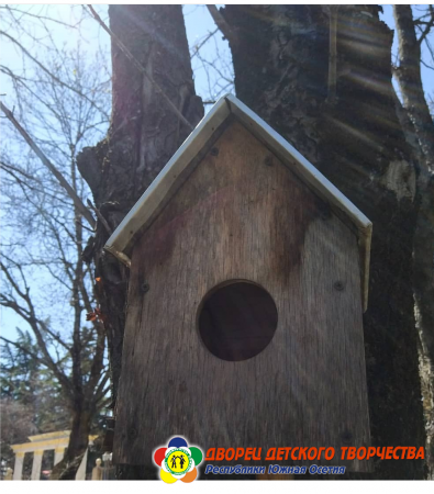 «Международный день птиц» 